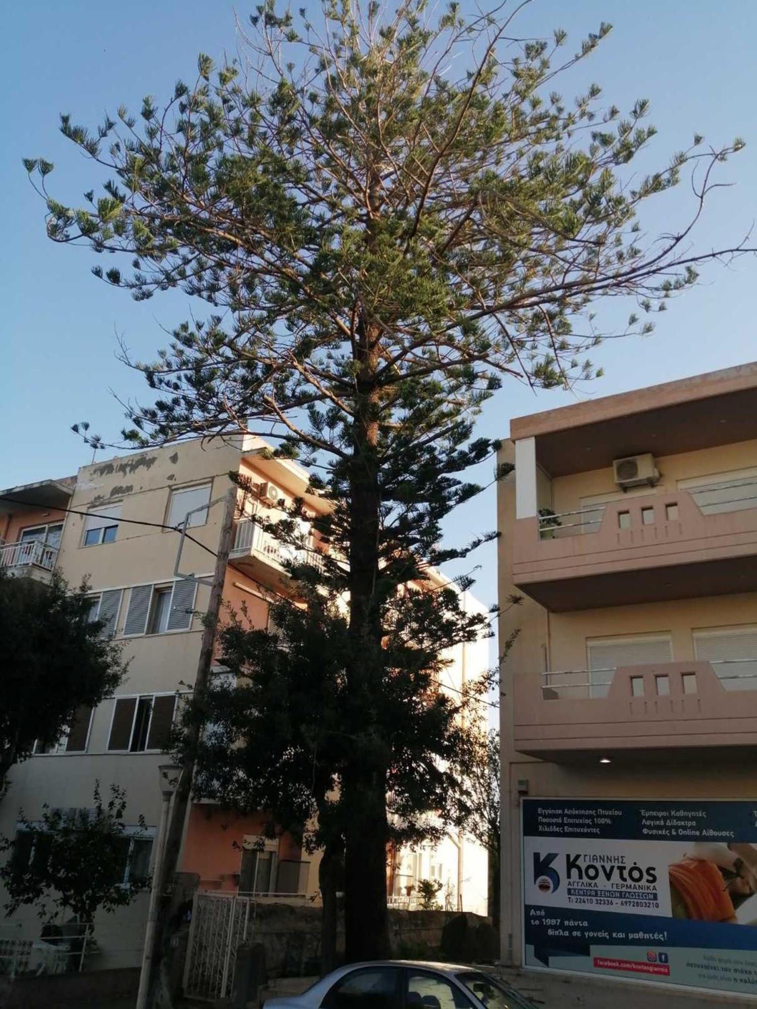 Apartment 29 Rhodes City Zewnętrze zdjęcie